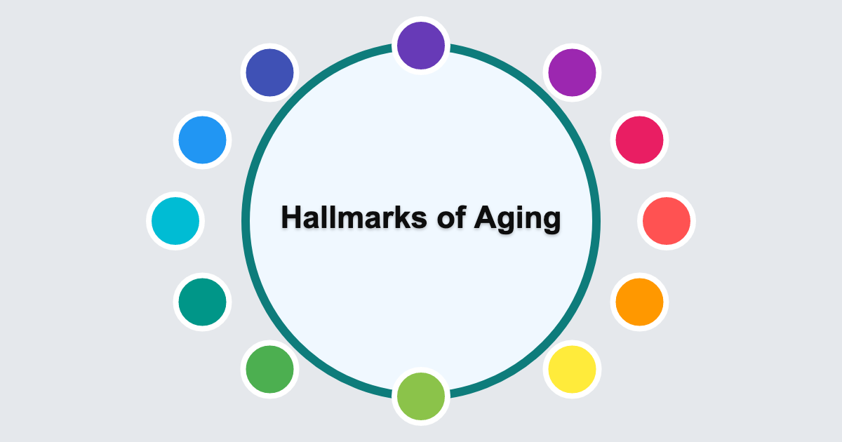 Longevity Science Hub